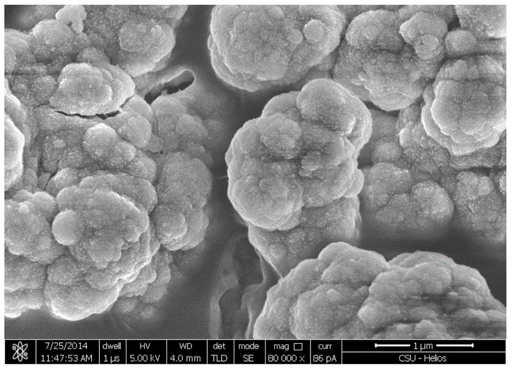 A chromium reduction method based on iron-containing sulfide ore under the action of acidophilic bacteria