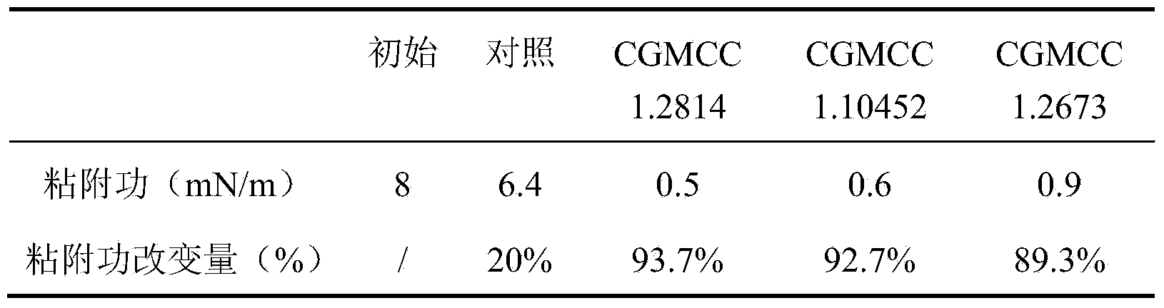 Strong emulsibility microbe wax cleaning and preventing bacterial agent and application thereof