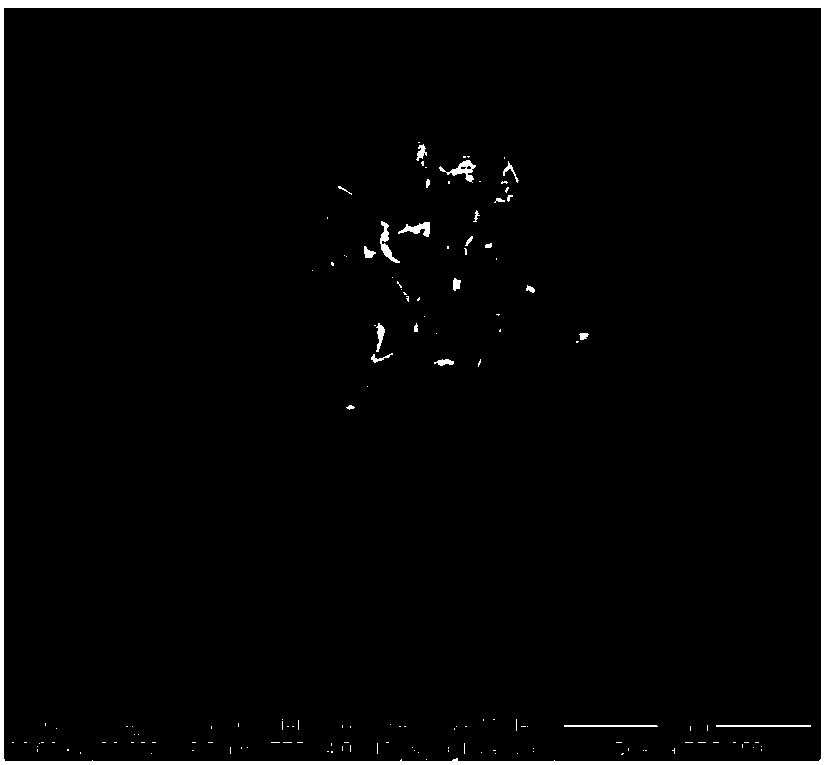 Tremelliform hollow core-shell structure vanadic anhydride positive electrode plate and its button lithium ion battery preparation method