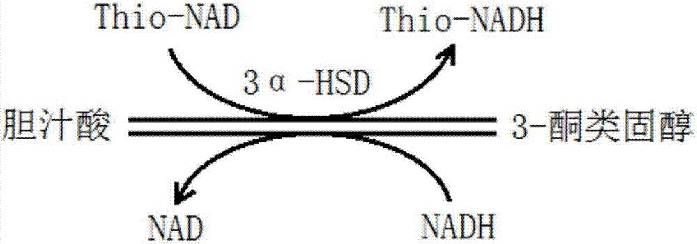 Kit for measuring content of total bile acid of blood serum and use method of kit