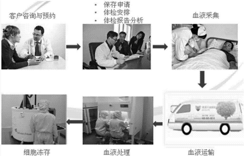 Method for automatically separating immune cells and extracting PRP from adult peripheral blood