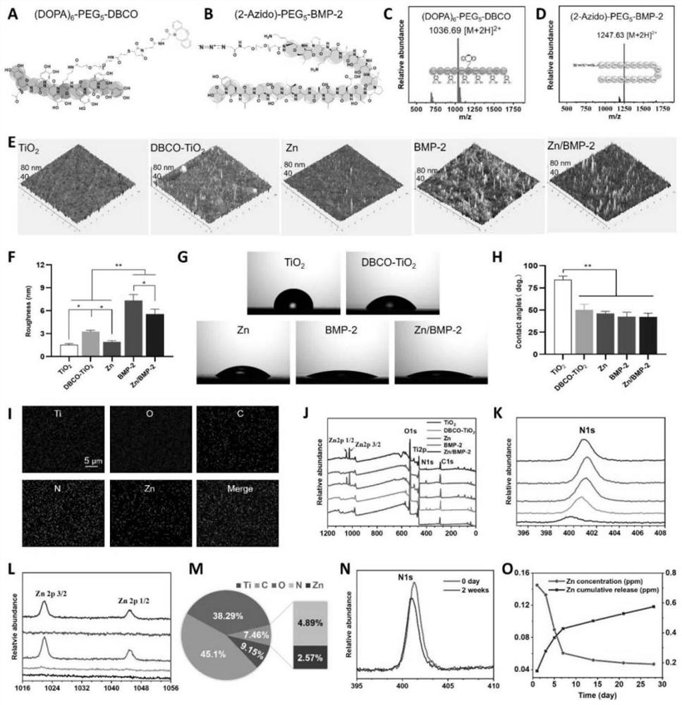 Bone induction and immunization double-effect coating, preparation method and application in osseointegration