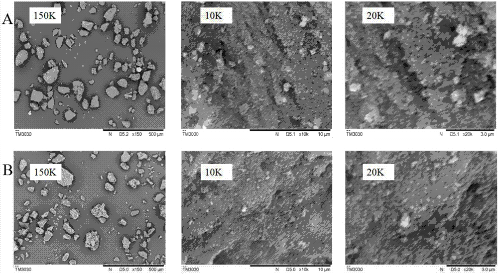 Preparation of soluble squid ink melanin after fishy smell removal, and application of soluble squid ink melanin after fishy smell removal in foods