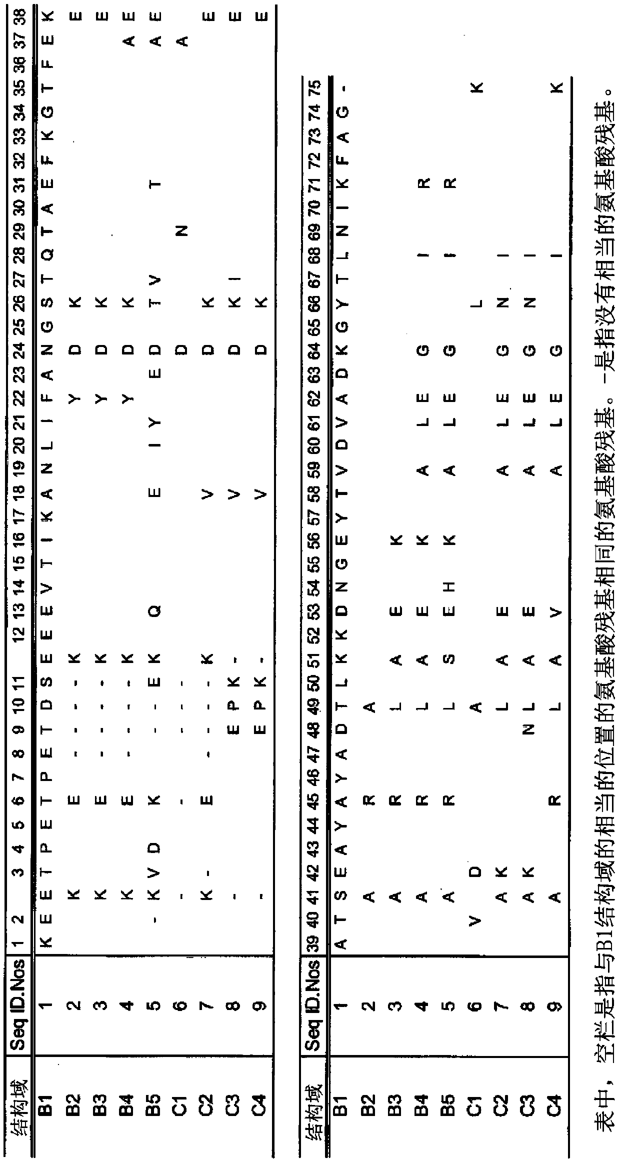 Immunoglobulin binding protein, and affinity support using same