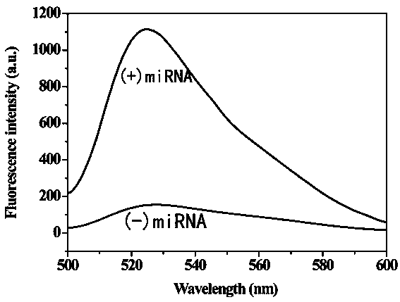 Method for detecting tumor biomarker by using palindrome lock-type probe