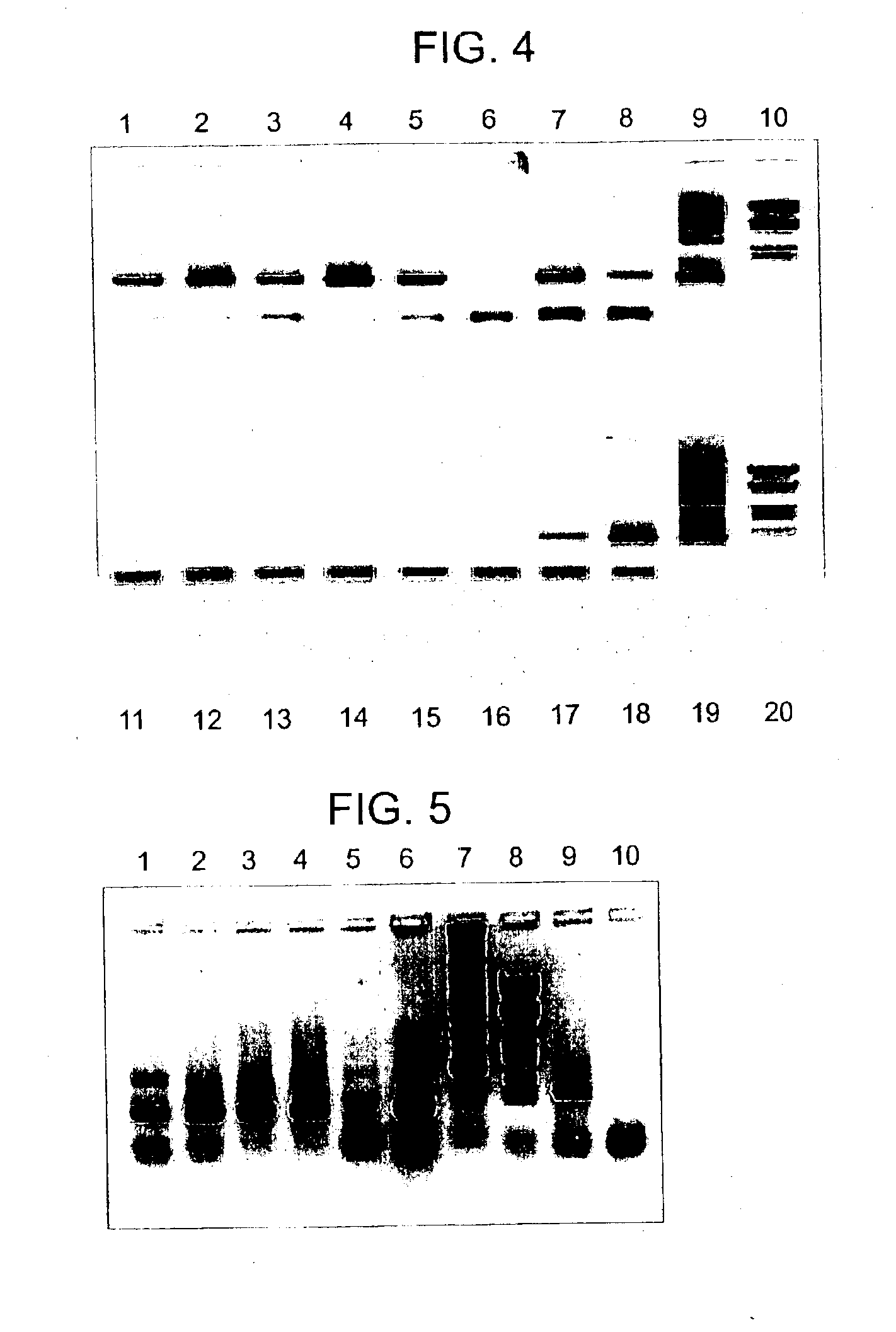 Lysin-deficient bacteriophages having reduced immunogenicity