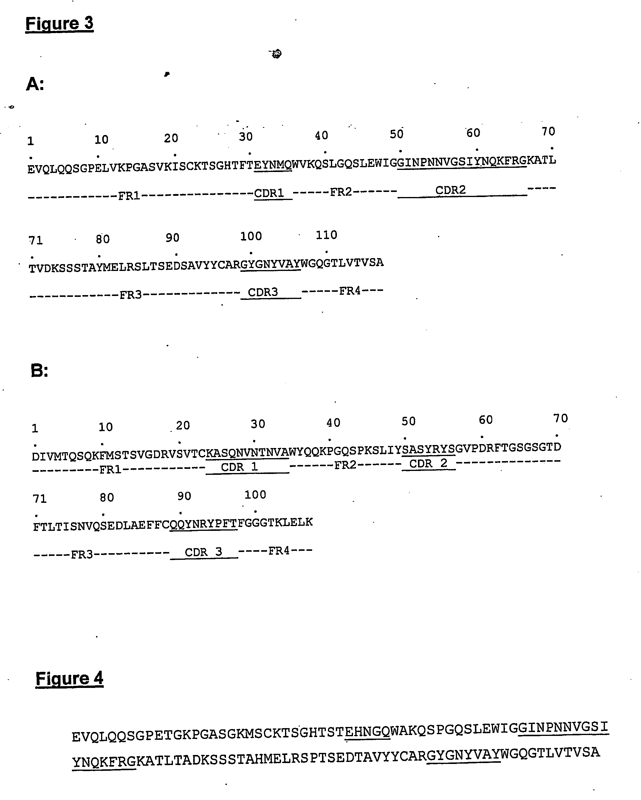 Anti-idiotype anti-cea antibody molecules and its use as cancer vaccine