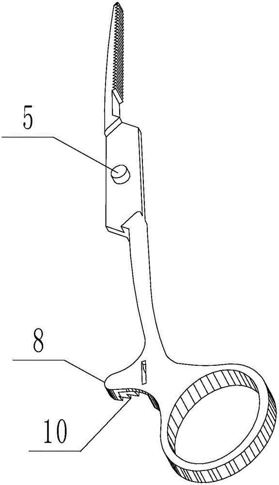 Straight-head haemostatic forceps