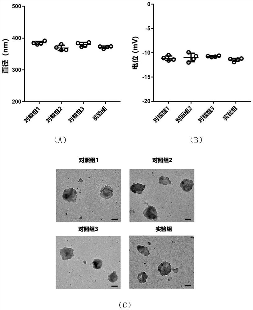 Co-drug-loading cell microparticle preparation and preparation method thereof