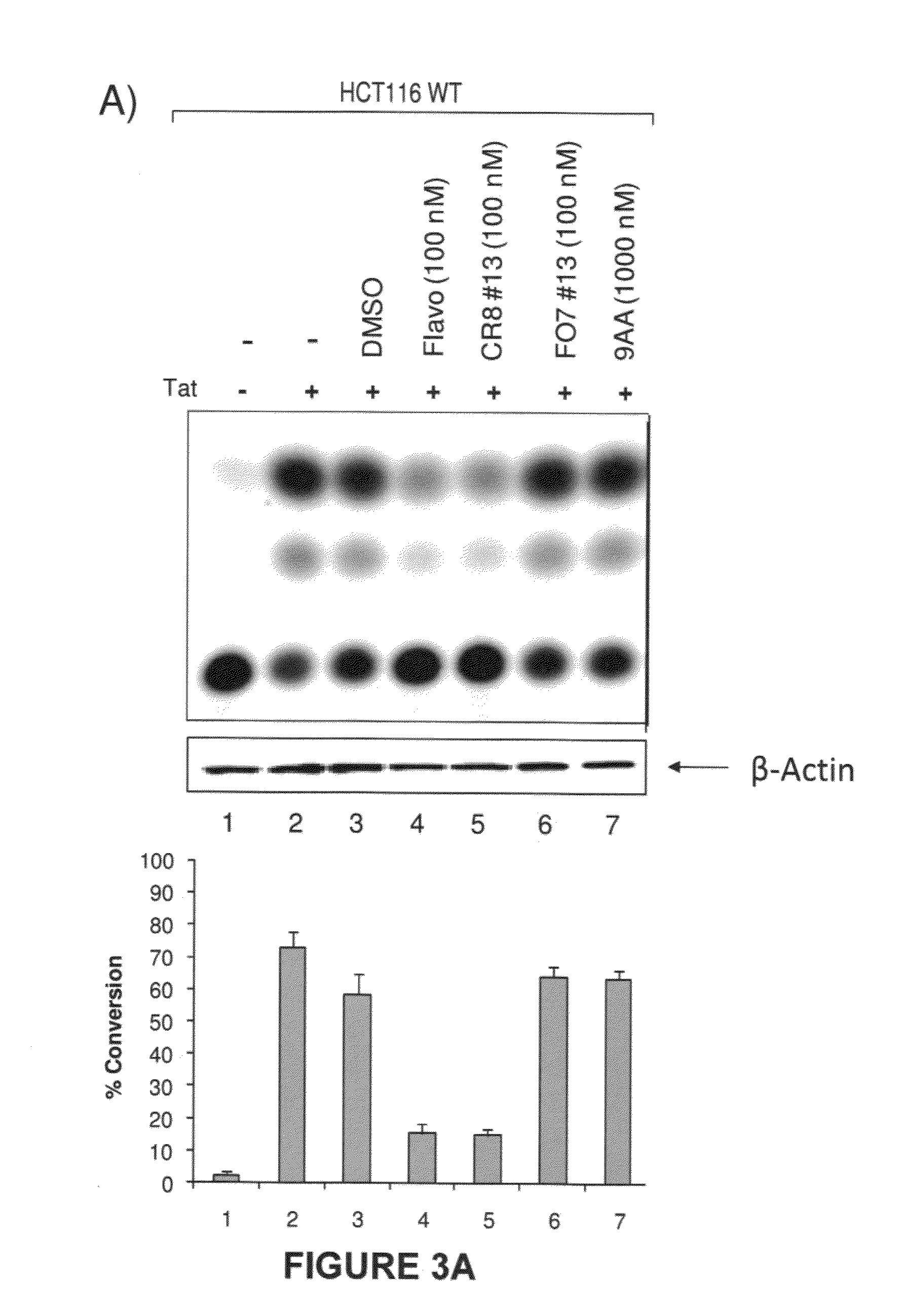 Modulators of viral transcription, and methods and compositions therewith