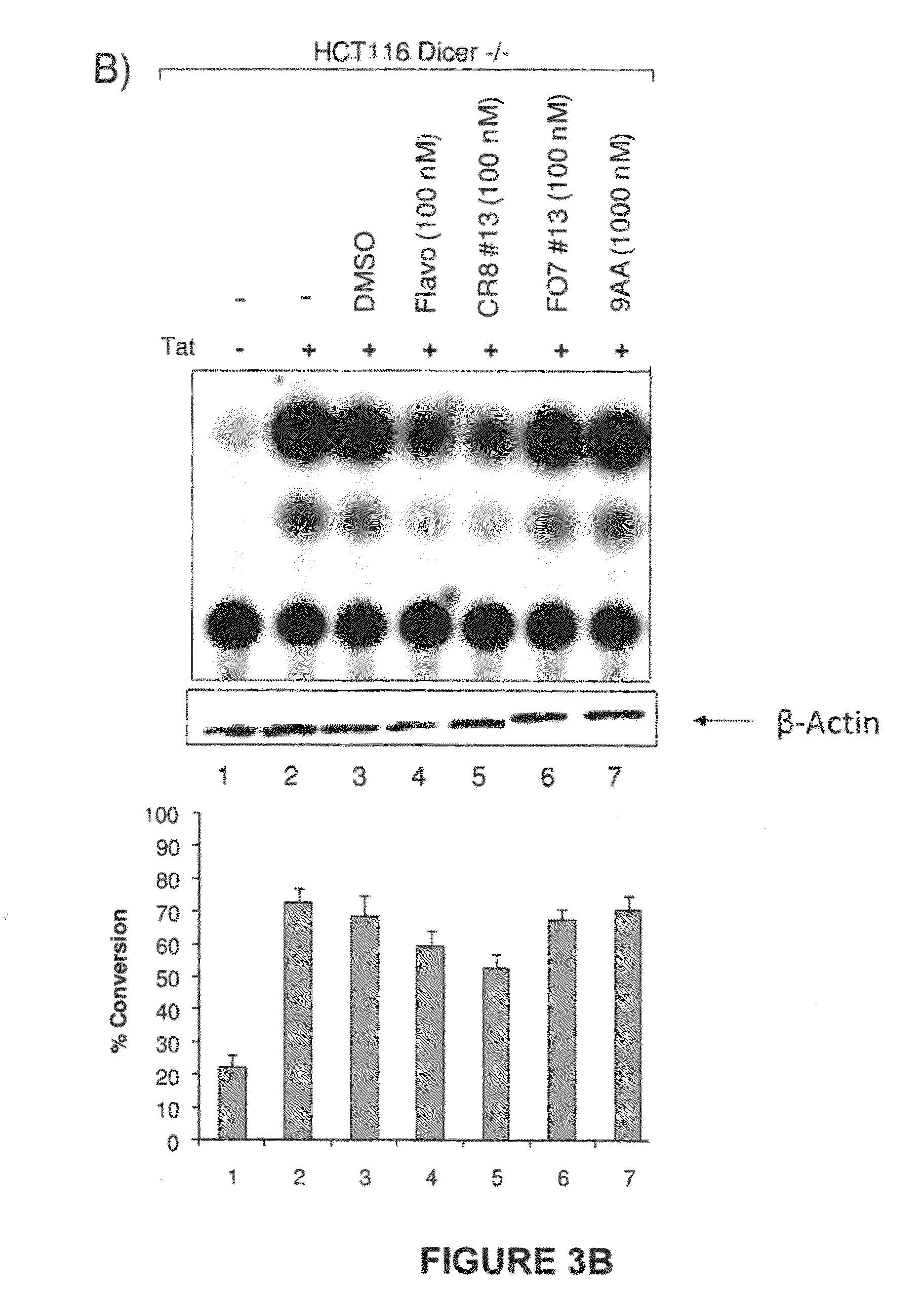 Modulators of viral transcription, and methods and compositions therewith