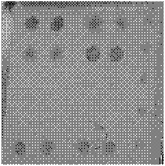 Compound gene chip for detecting salmonella serotype and detection method thereof