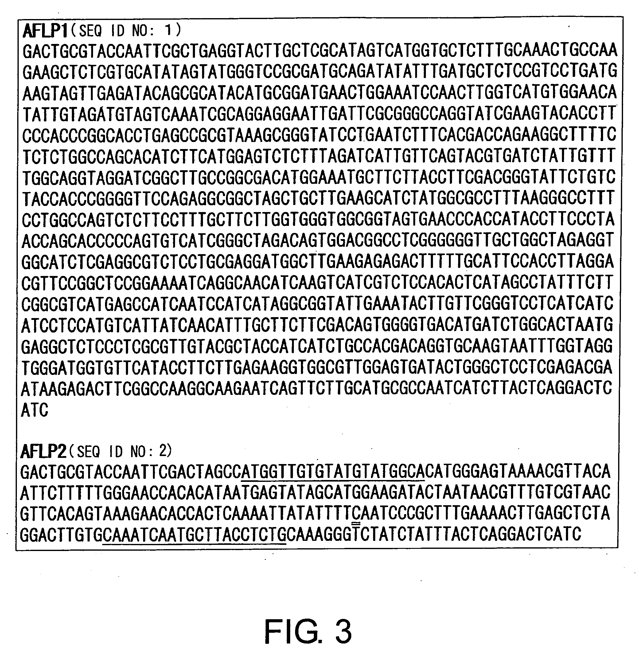 Methods of distinguishing ear shape and resistance against gibberella zeae and method of improving barley plant using the same