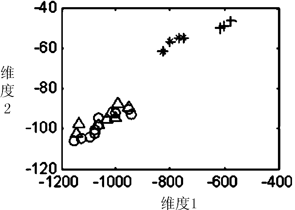 Complex system supervision graph embedding structural data visualized monitoring method based on relevant measurement