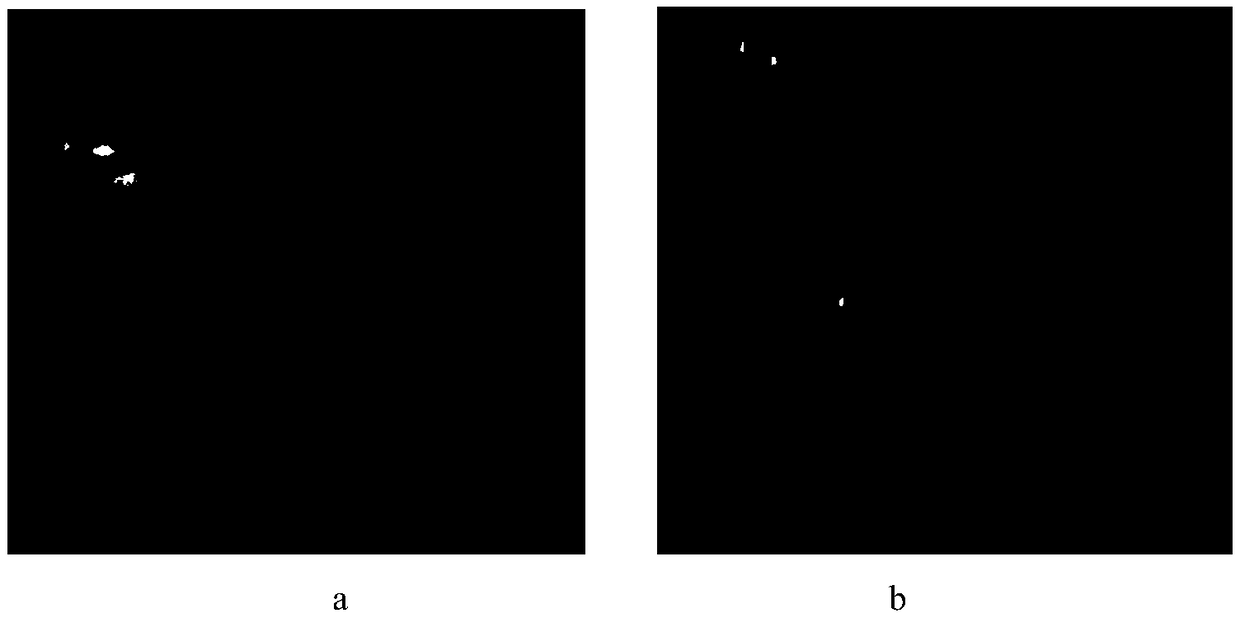 Dual-modal endoscope device based on liquid lens self-focusing