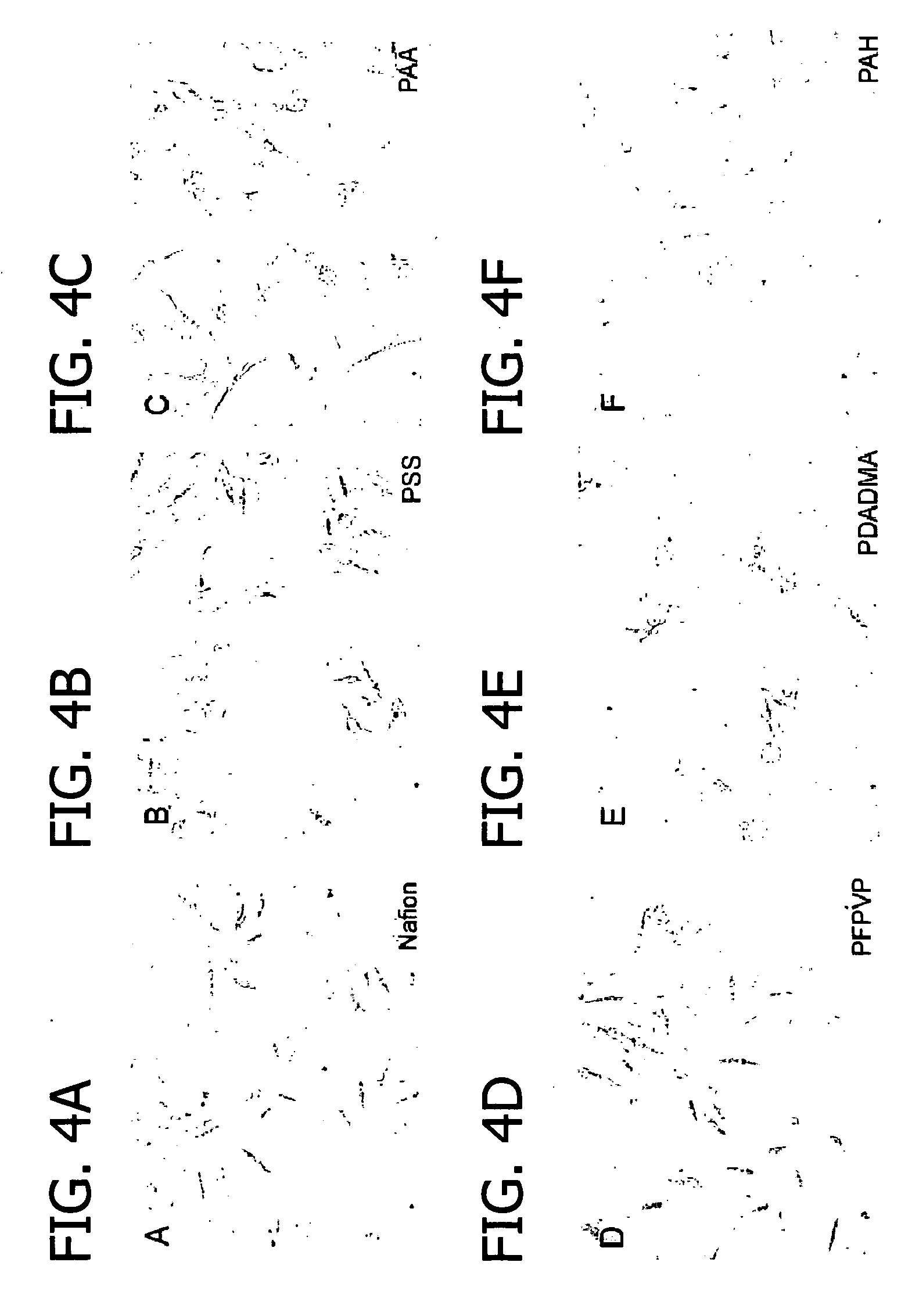 Films for controlled cell growth and adhesion