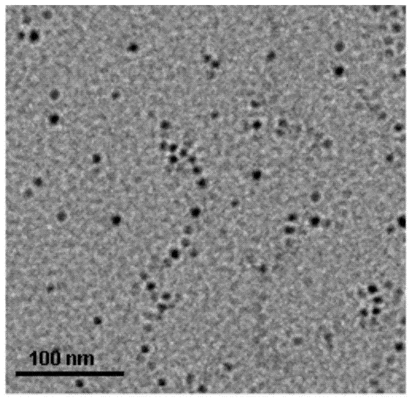 A kind of detection method of methylmercury ion