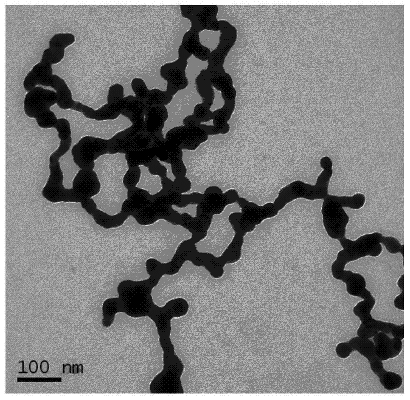 A kind of detection method of methylmercury ion