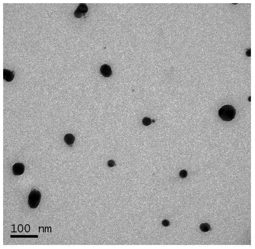 A kind of detection method of methylmercury ion