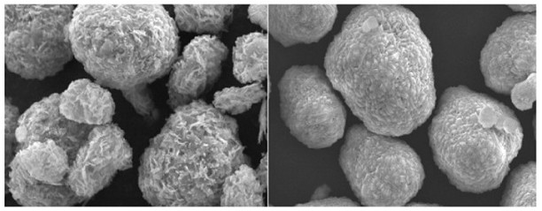 Titanium and zirconium doped and vanadium coated ternary positive electrode material and preparation method thereof