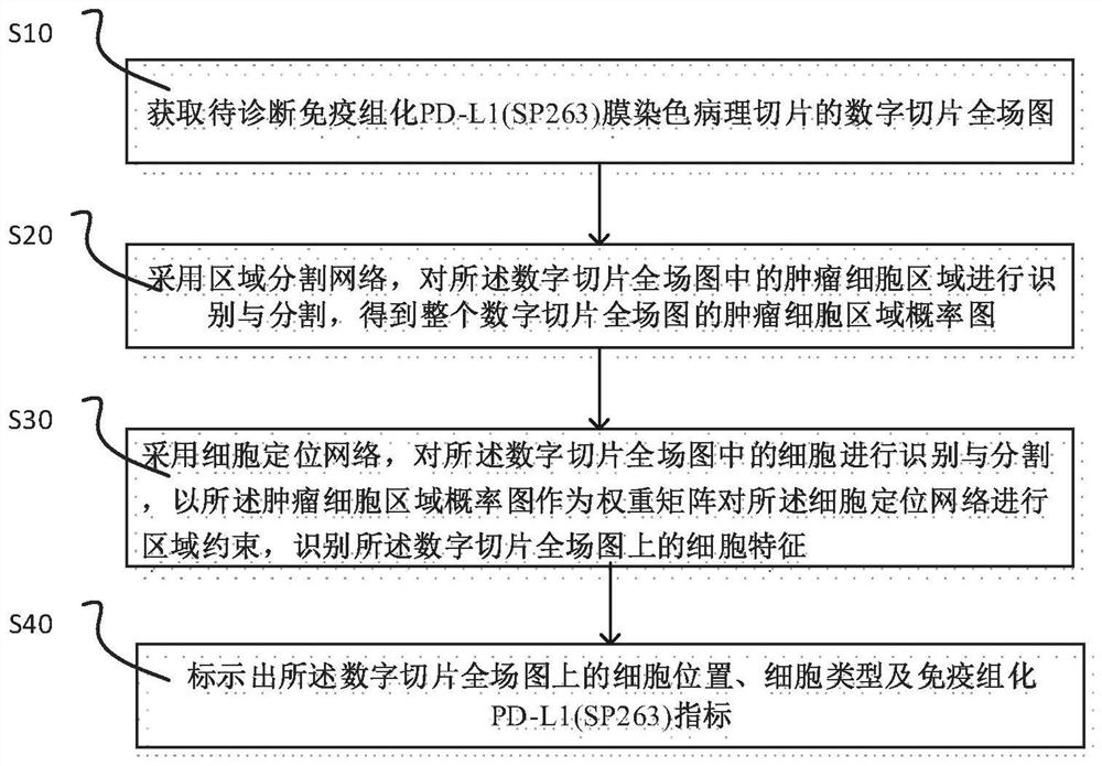 Immunohistochemical pd-l1 membrane staining pathological section image processing method, device and equipment