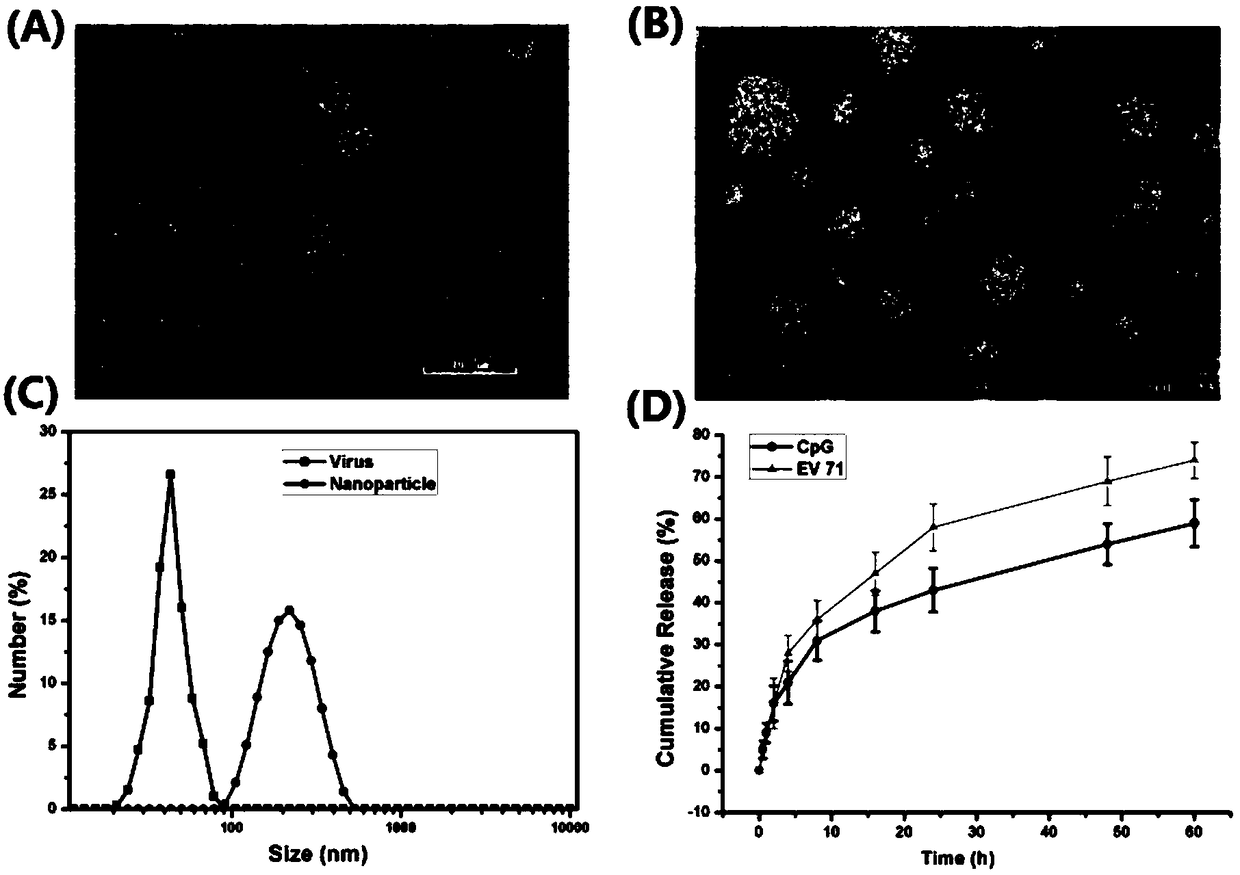 Self-assembly nano adjuvant and preparation method of nano vaccine formed by self-assembly nano adjuvant and application