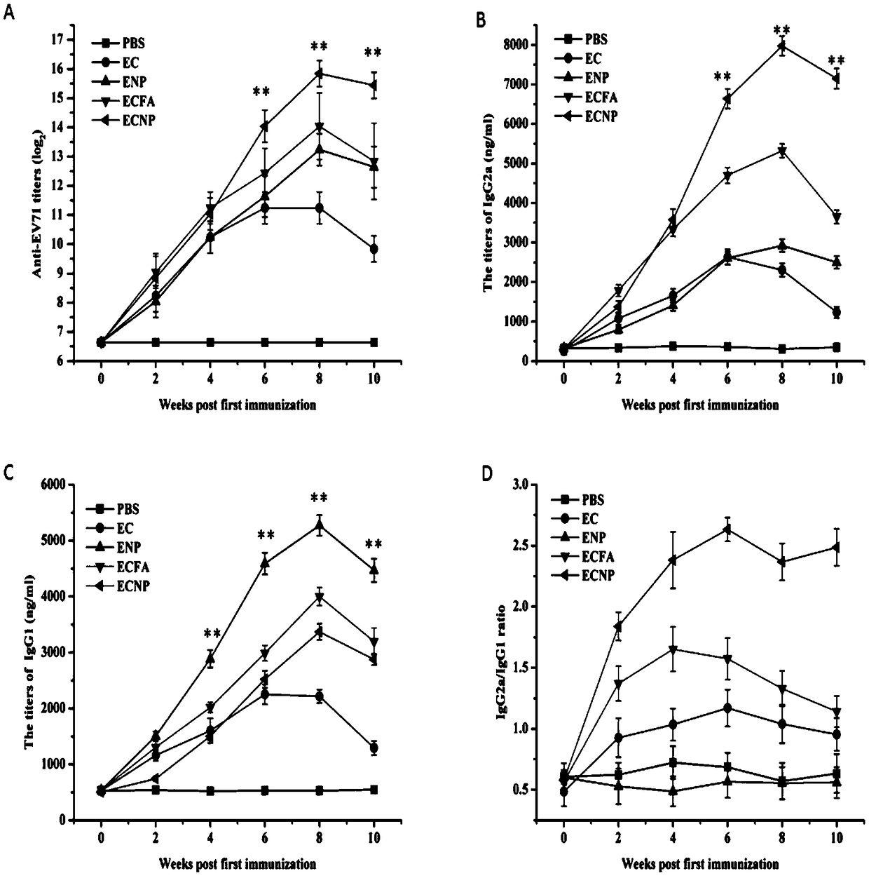 Self-assembly nano adjuvant and preparation method of nano vaccine formed by self-assembly nano adjuvant and application