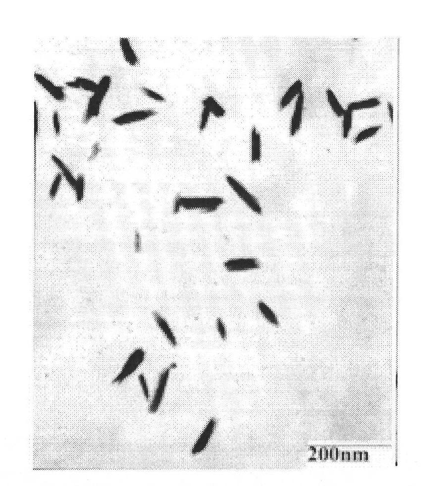 ZnxCd1-xTe fluorescent nano-bar and aqueous phase synthesis method thereof