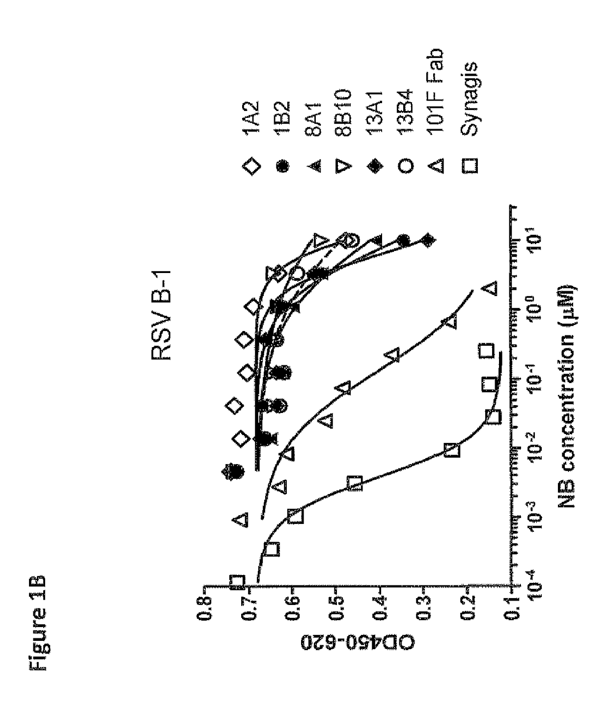 Amino acid sequences directed against human respiratory syncytial virus (HRSV) and polypeptides comprising the same for the prevention and/or treatment of respiratory tract infections