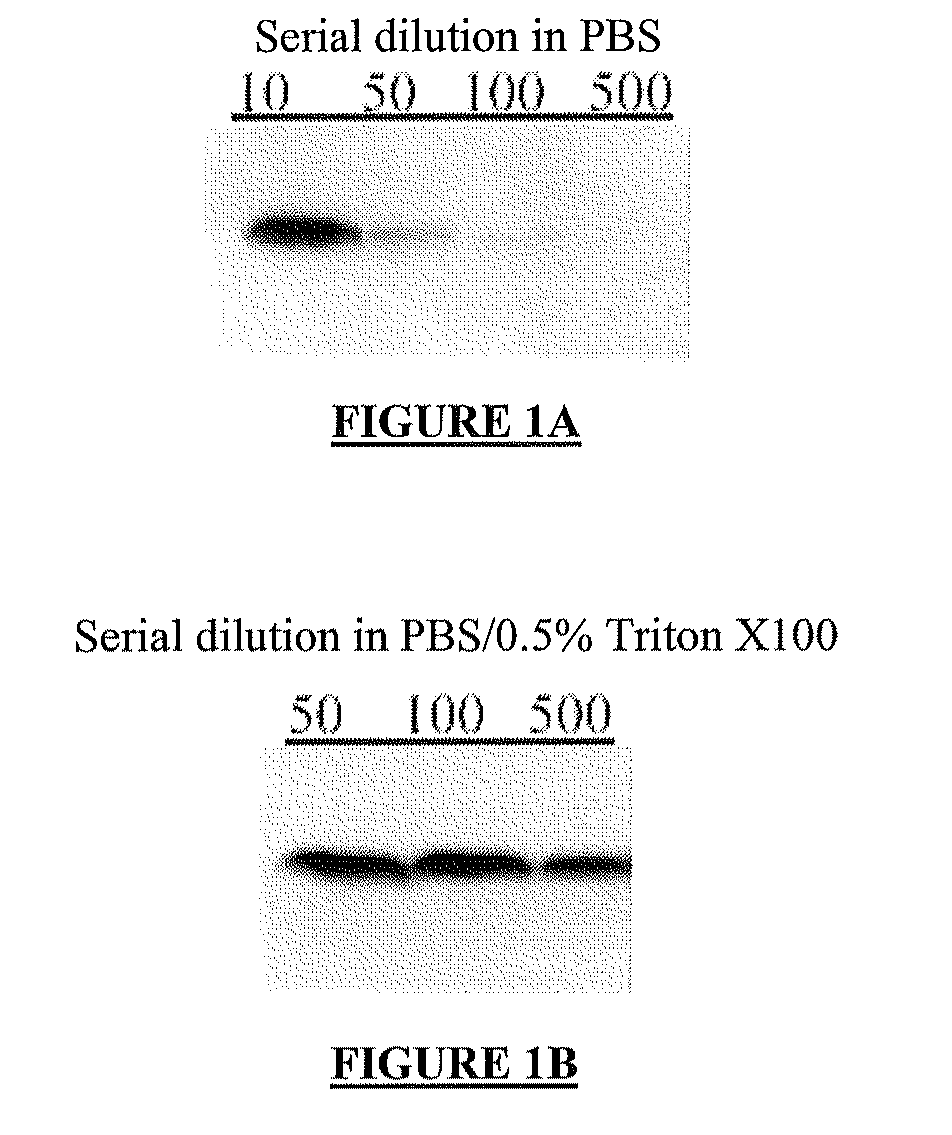 Circulating ve-cadherin as a predictive marker of sensitivity or resistance to Anti-tumoral treatment and improved method for the detection of soluble proteins