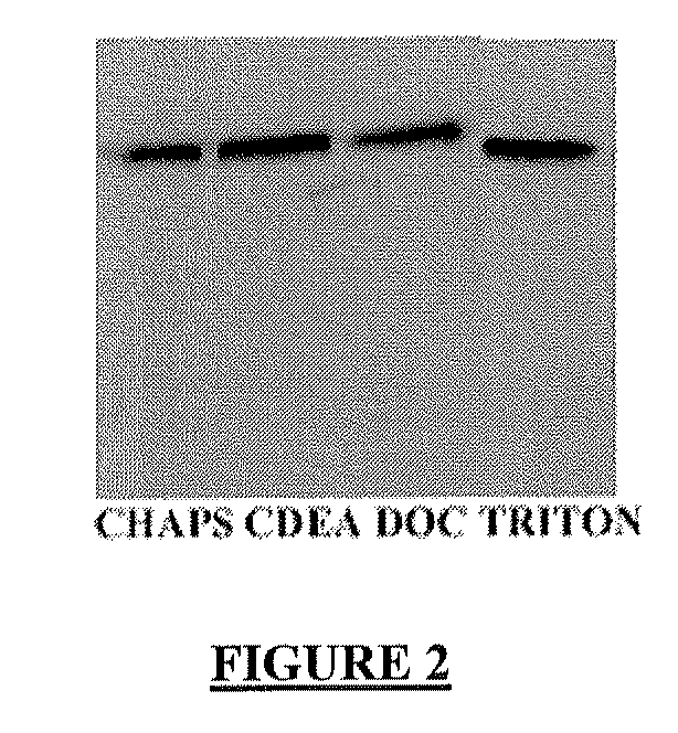 Circulating ve-cadherin as a predictive marker of sensitivity or resistance to Anti-tumoral treatment and improved method for the detection of soluble proteins