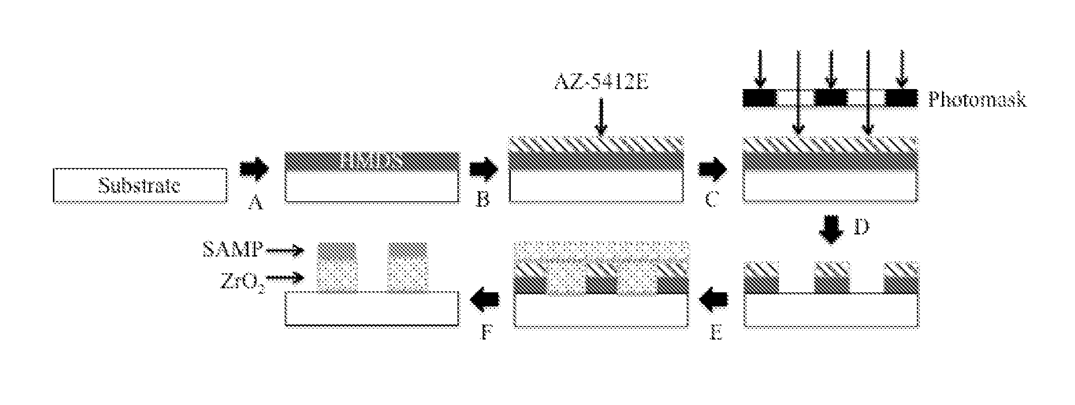 Scaffolds for tissues and uses thereof