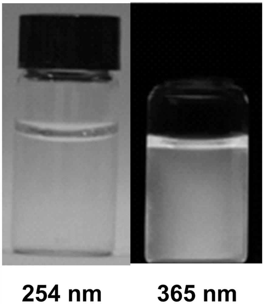 Windmill-like carbon nanotube structure compound, synthesis method and application