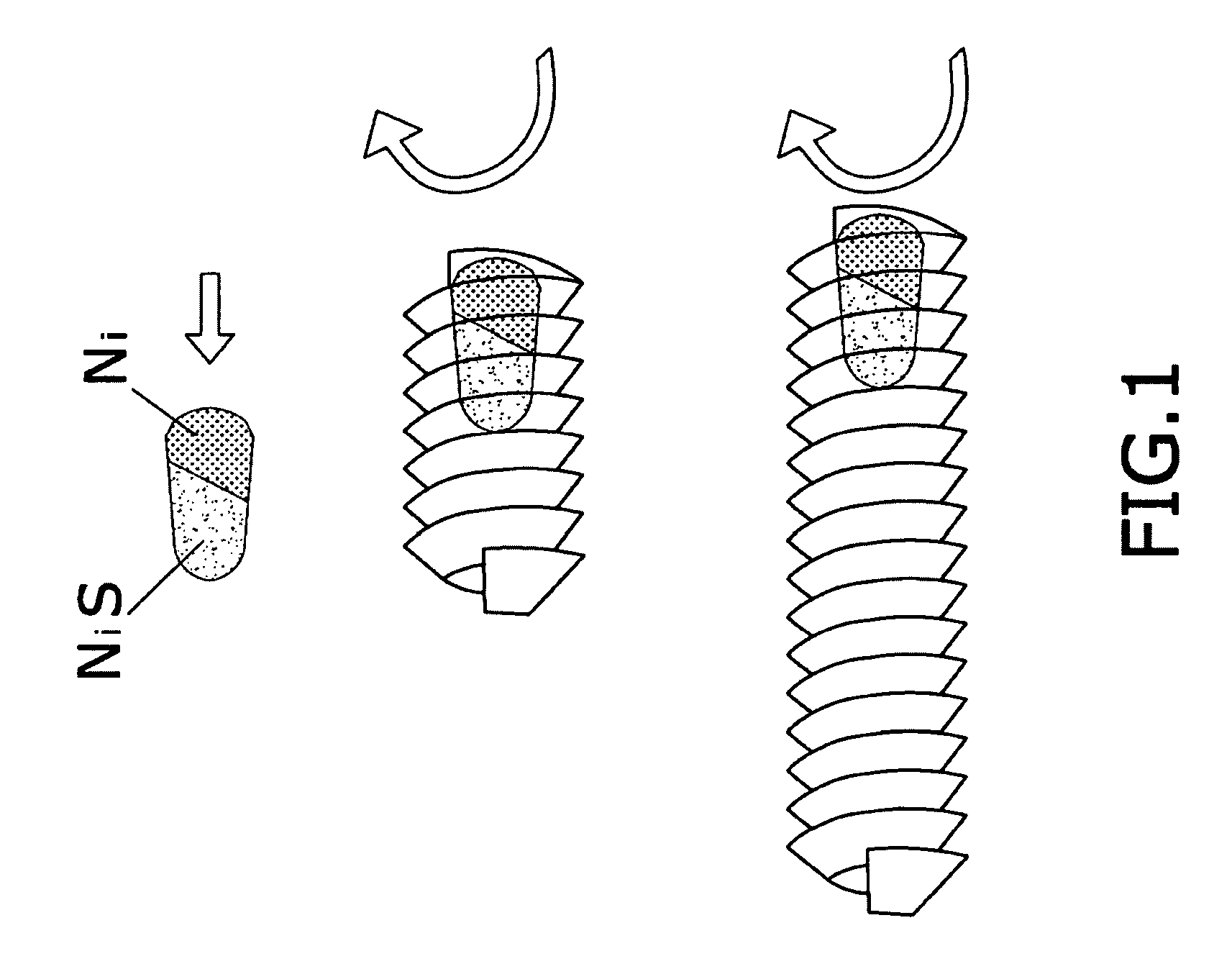 Carbon nanofibers and procedure for obtaining said nanofibers