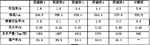 Special biochar-based slow release fertilizer for corn, and preparation method thereof