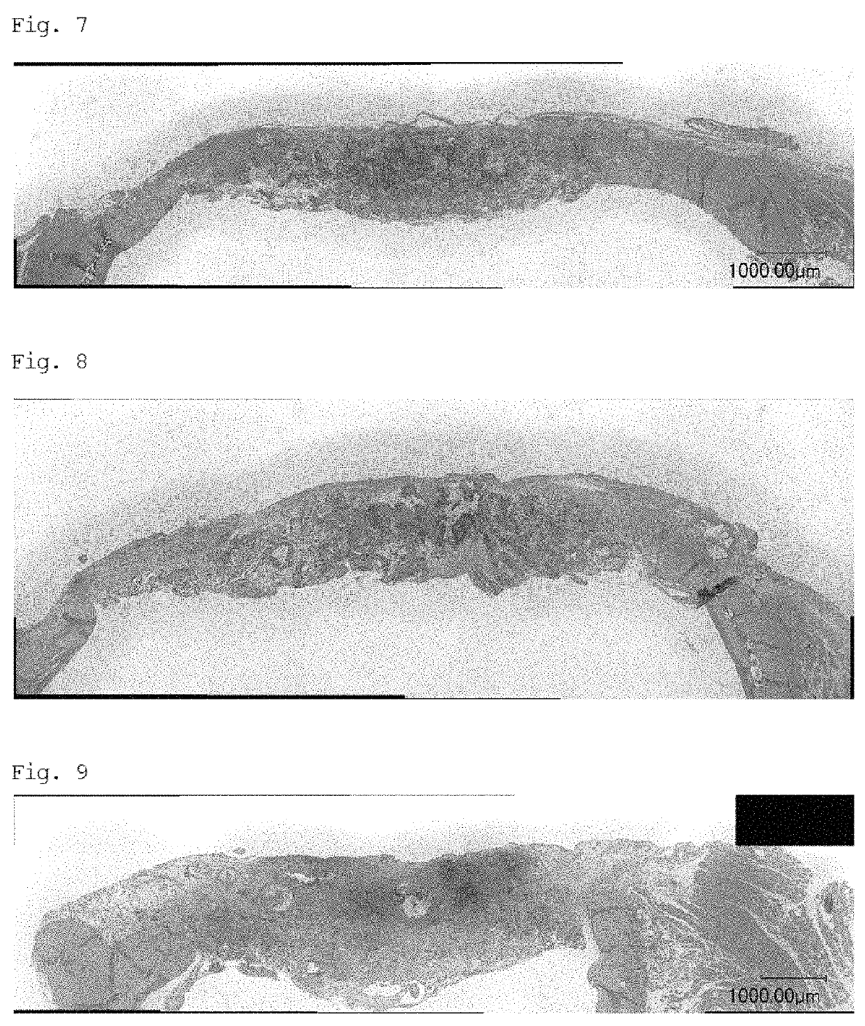 Porous composite and bone regeneration material