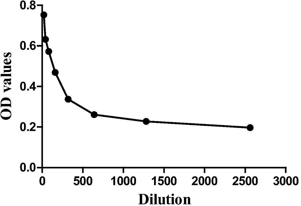 Kit for detecting protein glycosylation subtype and detection method thereof