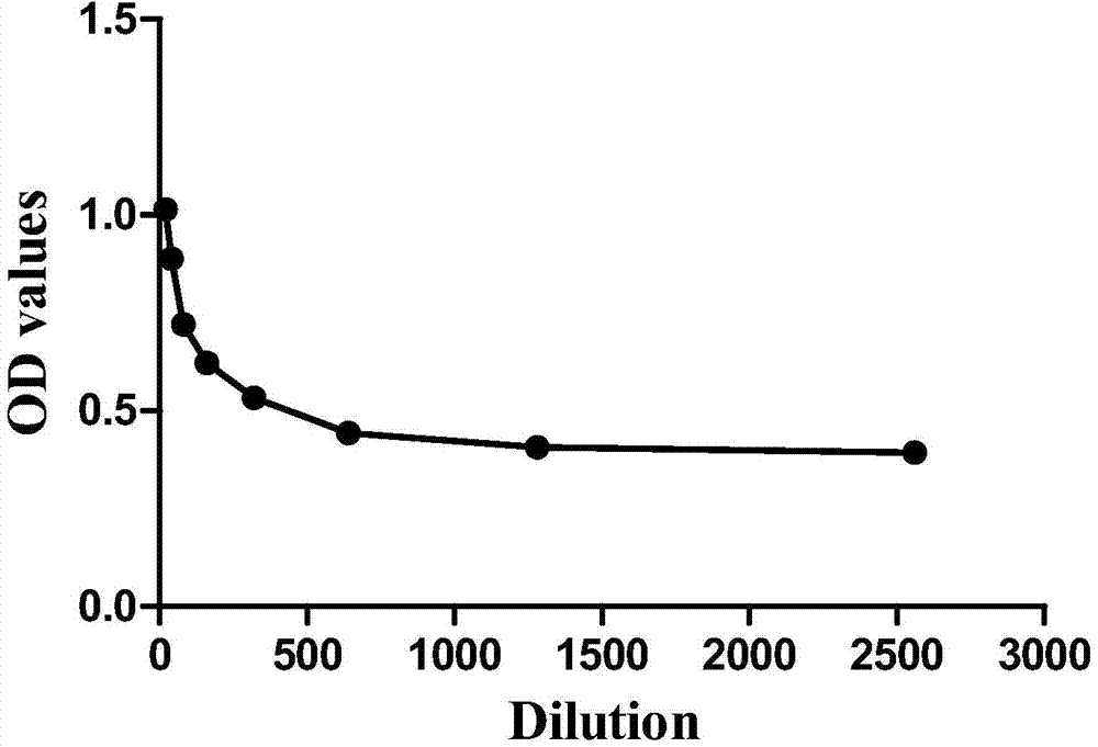 Kit for detecting protein glycosylation subtype and detection method thereof