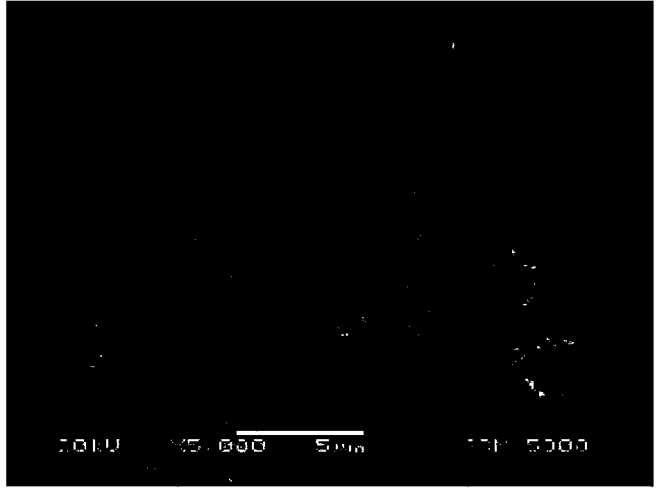 Ground solidifier composition using activated slag and pozzolanic reaction and manufacturing method thereof