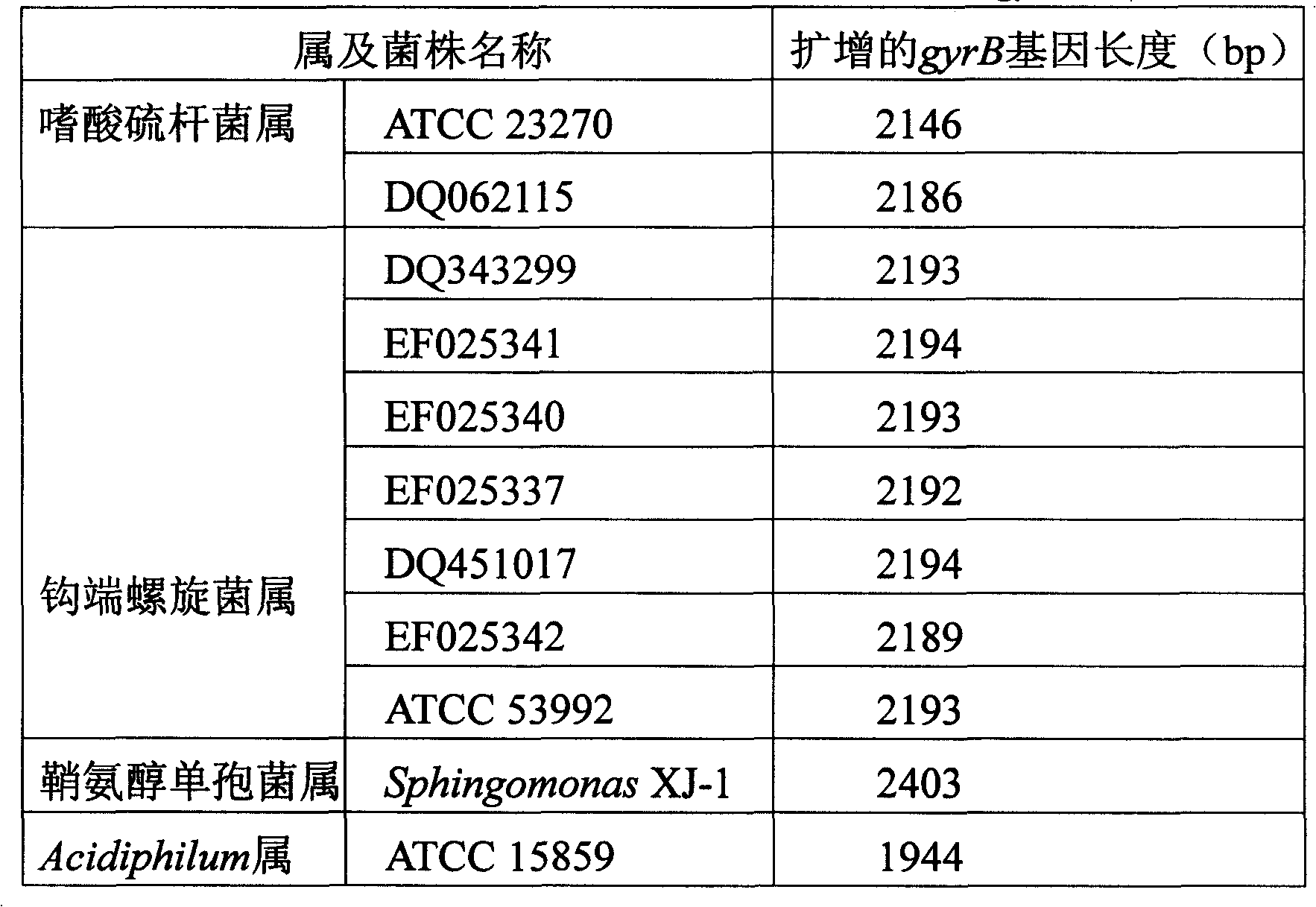 General purpose primer for cloning bacteria gyrase-gyrB gene