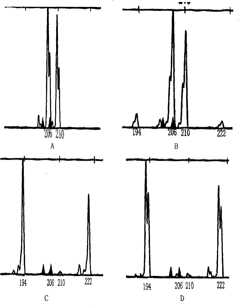 Reagent kit for inosculating status analysis after hemopoietic stem cell transplantation and uses thereof