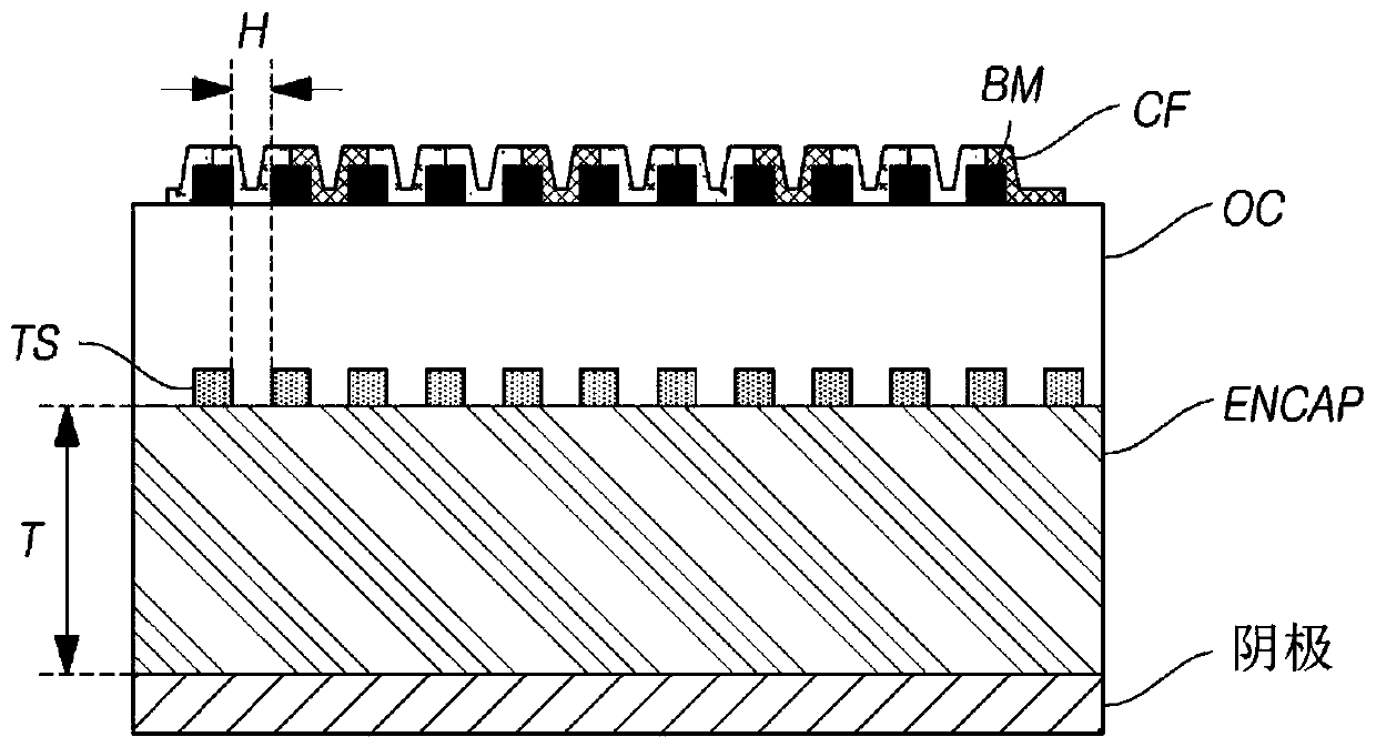 Touch display panel and touch display device