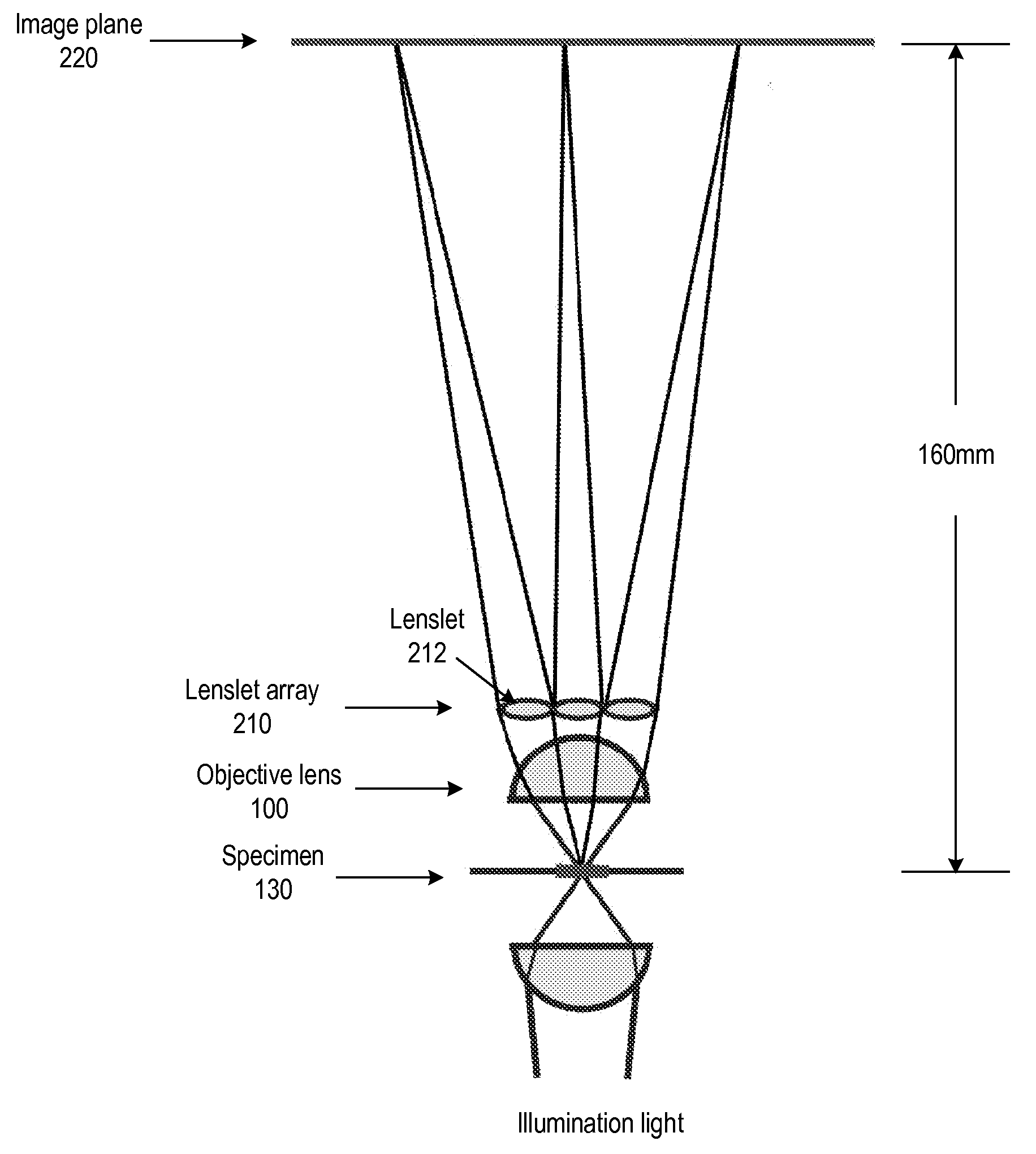 Light Field Microscope With Lenslet Array