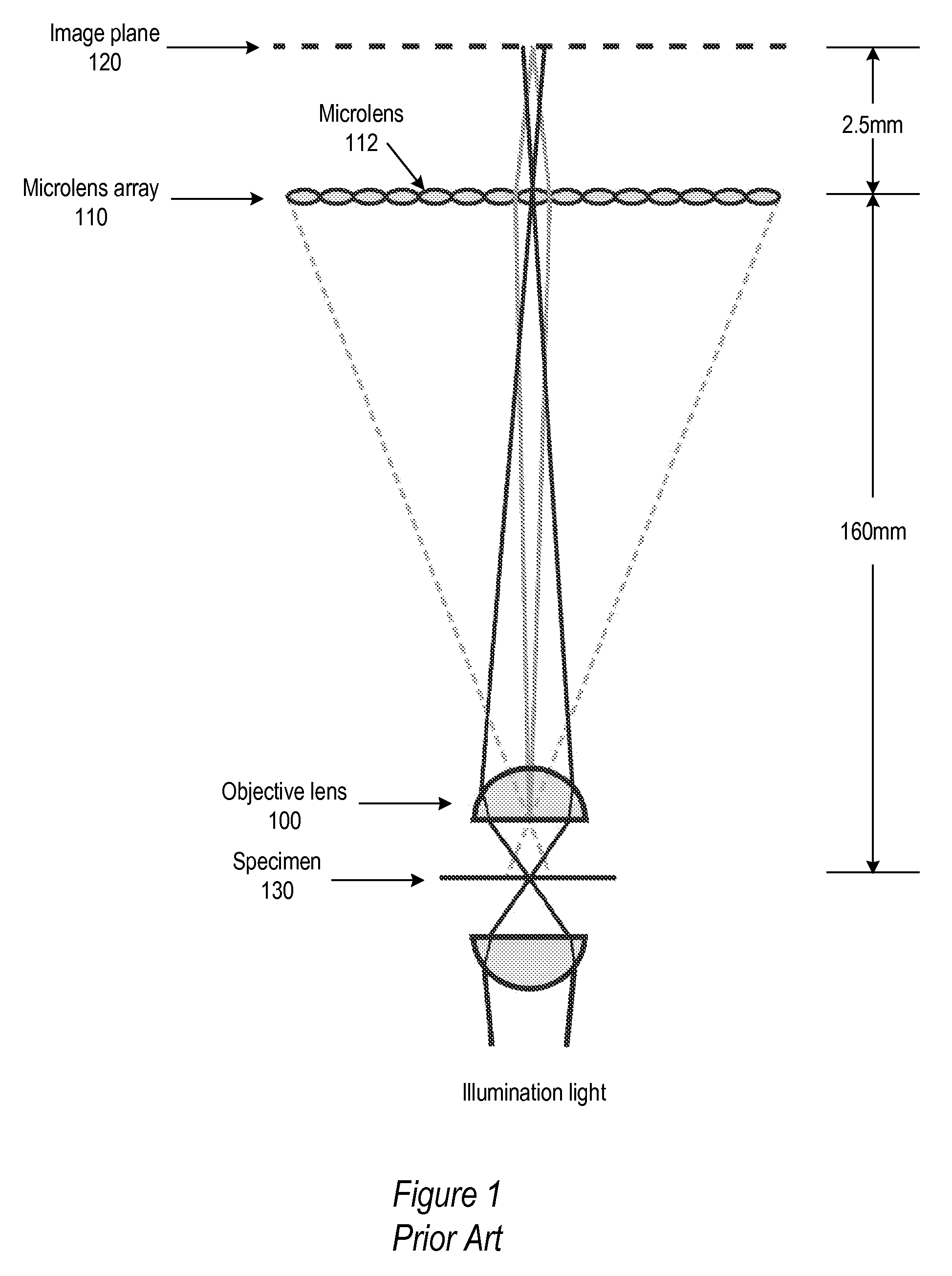 Light Field Microscope With Lenslet Array