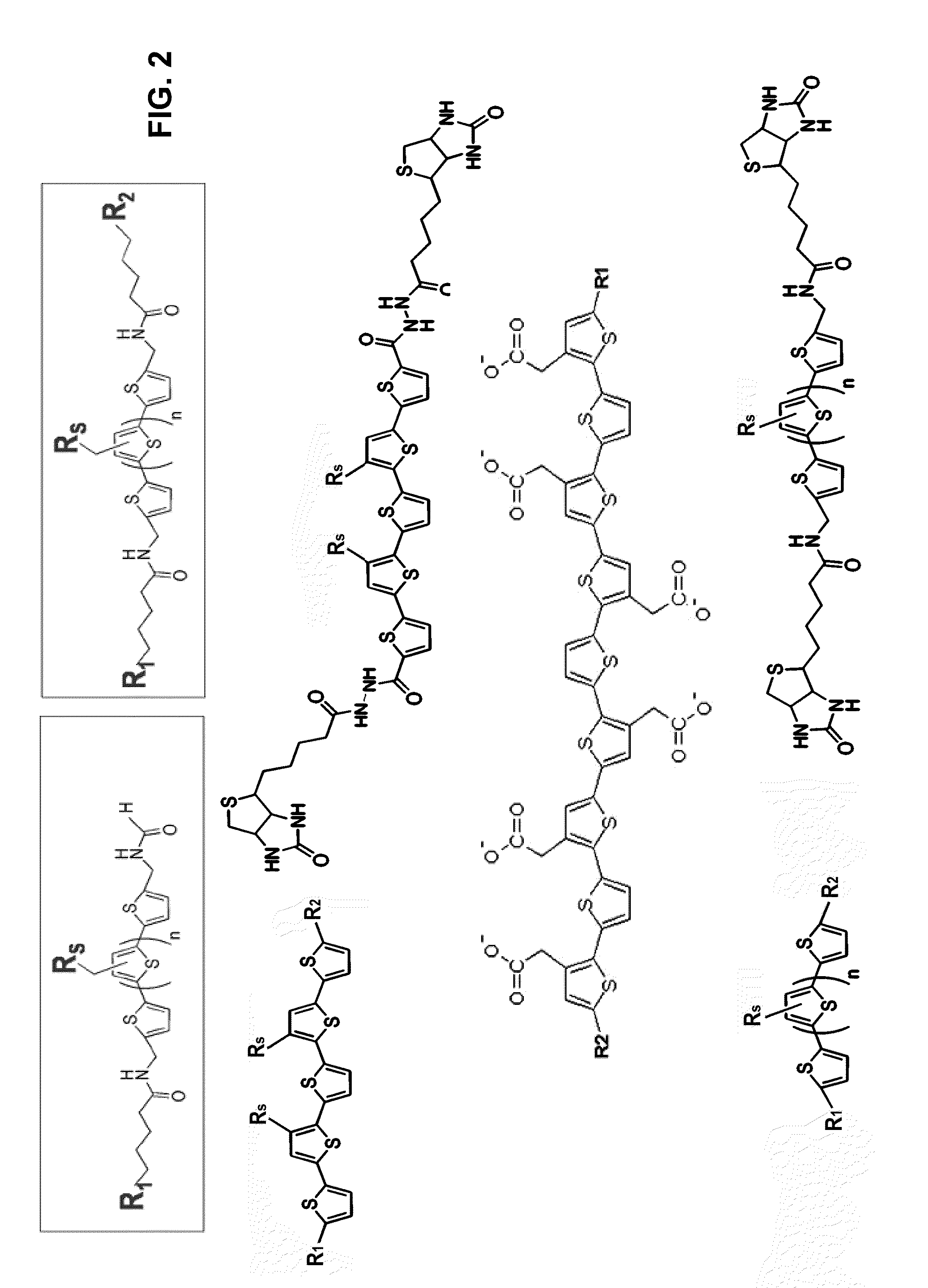 Binding of pathological forms of proteins using conjugated polyelectrolytes