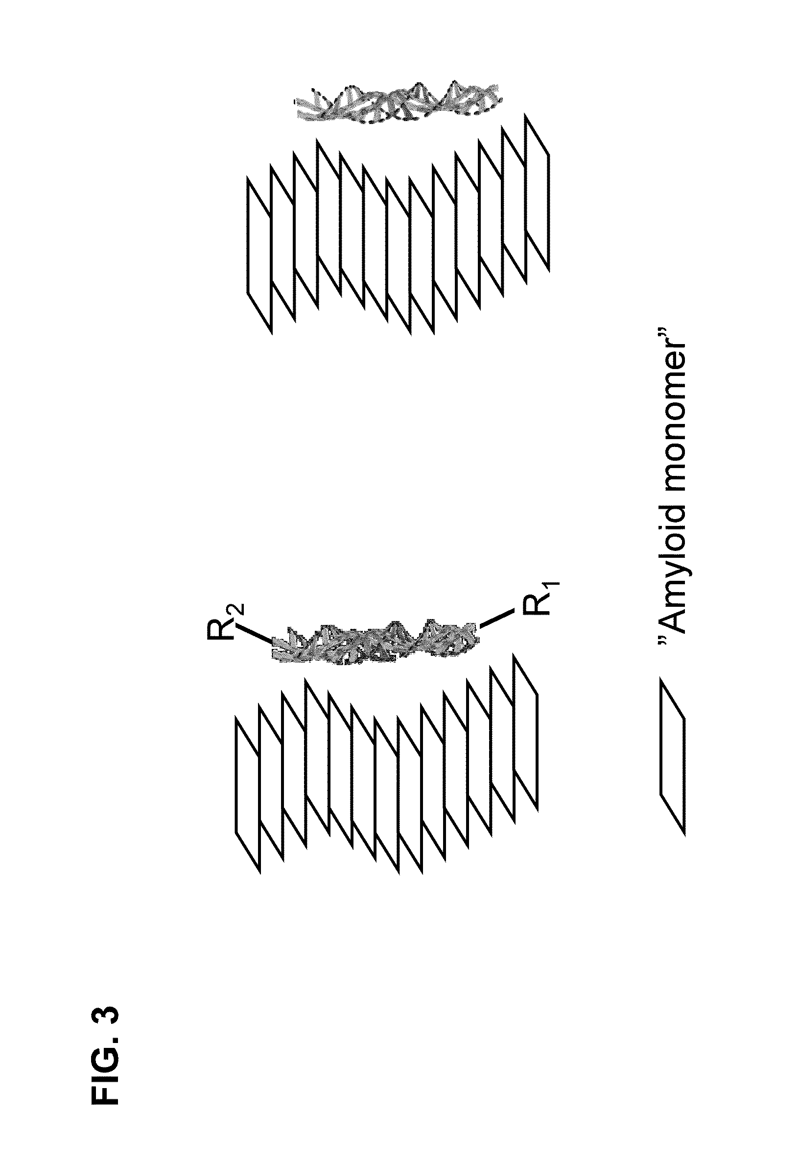 Binding of pathological forms of proteins using conjugated polyelectrolytes