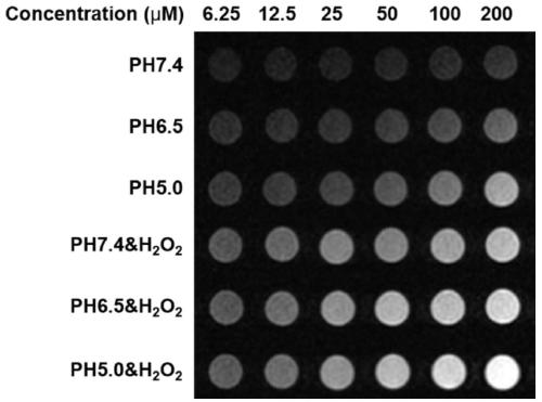 Inflammation targeting and microenvironment responsive nano system and preparation method and application thereof