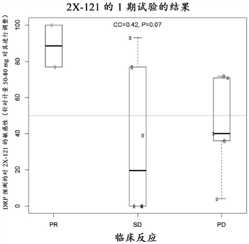 Methods for predicting drug responsiveness in cancer patients