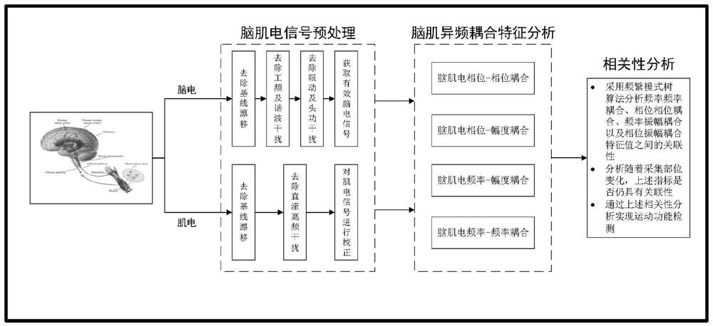 Motion function monitoring management method based on electroencephalogram and myoelectricity cross frequency coupling