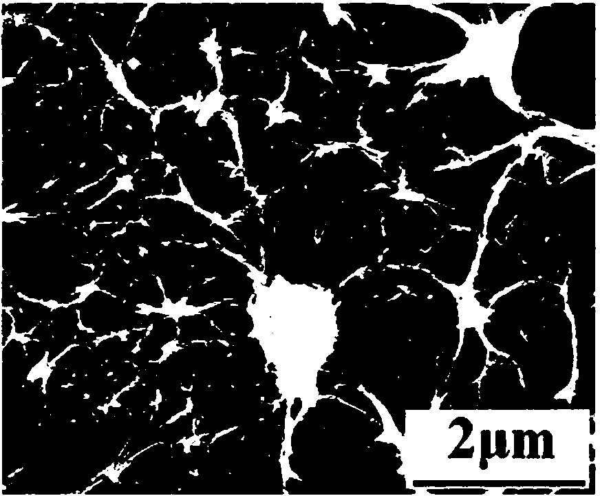 Polyester fiber and preparation method thereof